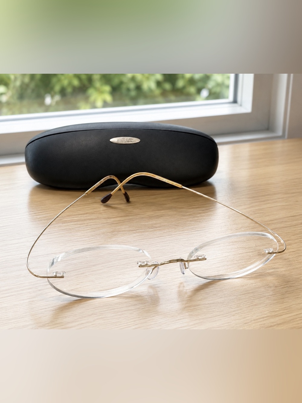 Silhouette M 7395/20 V 6051 Rimless 50-21mm Eyeglasses FRAMES ONLY with Case